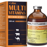 Multivitamin